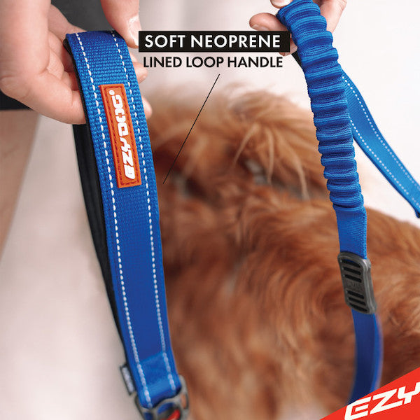 EzyDog Zero Shock Control Leash