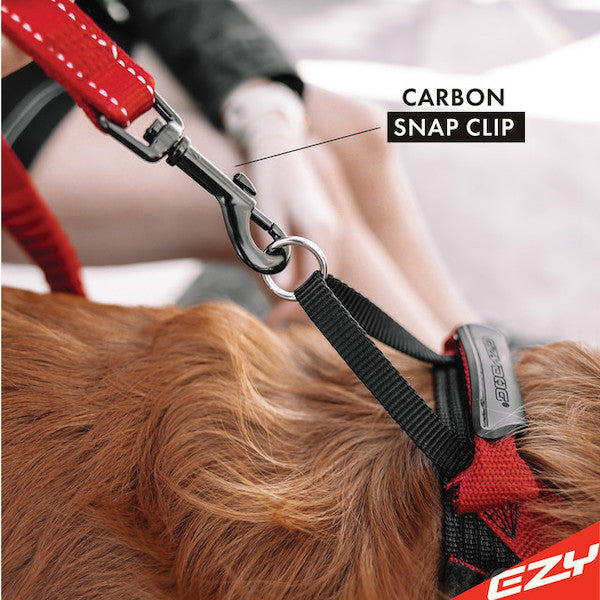 EzyDog Zero Shock Control Leash