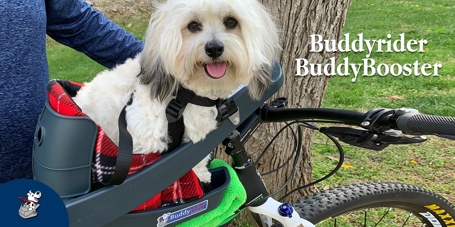 Buddyrider dog seat for sale hot sale