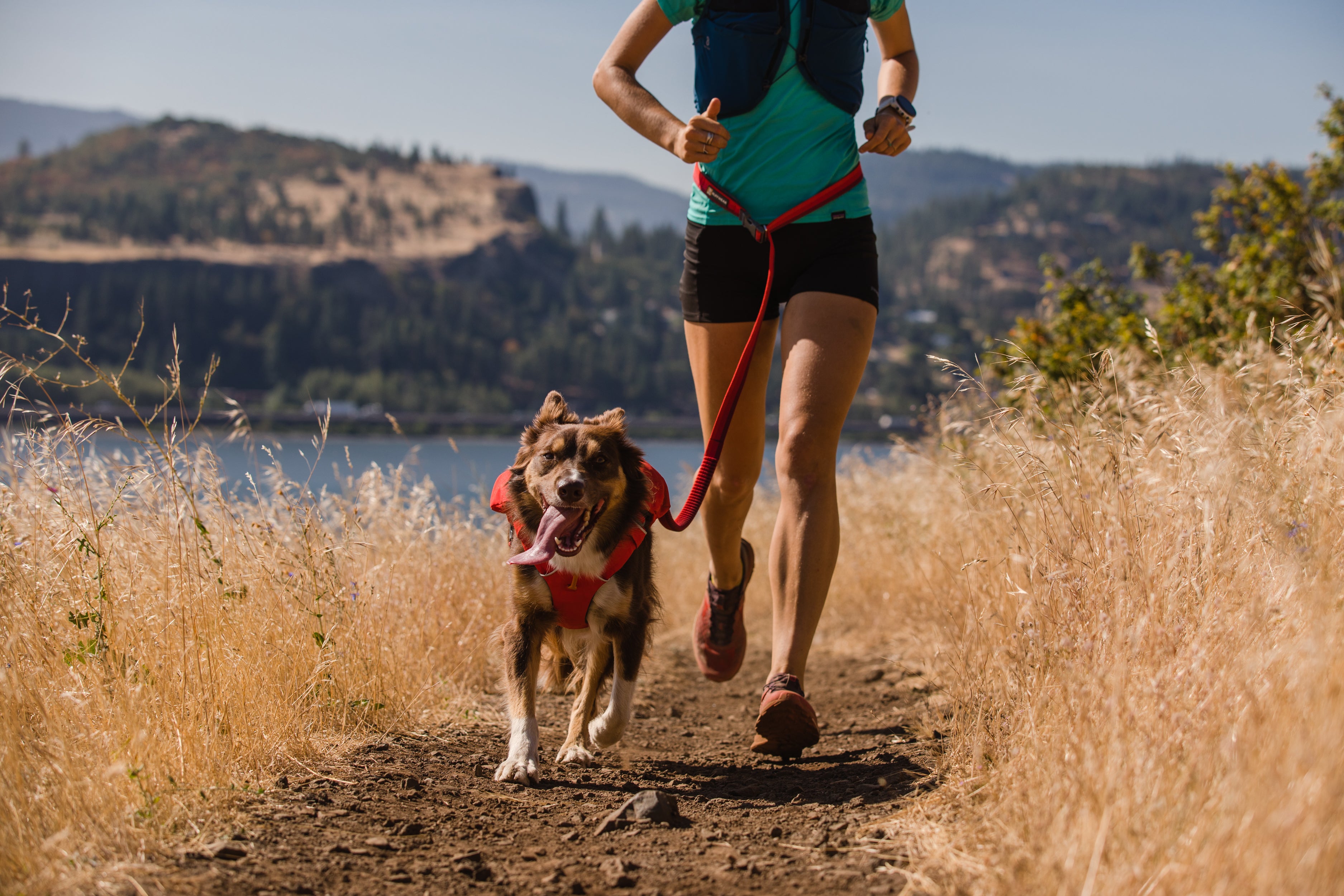 Roamer Waist Worn Leash The Dog Outdoors