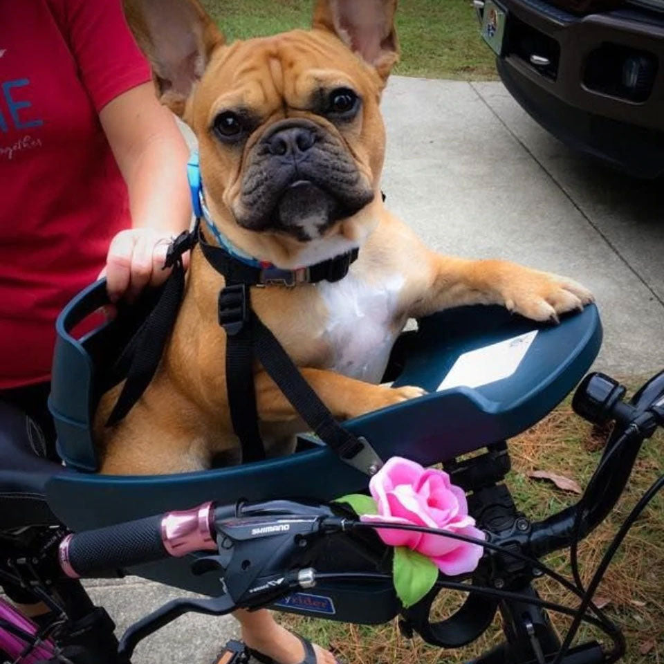 Frenchie store bike basket