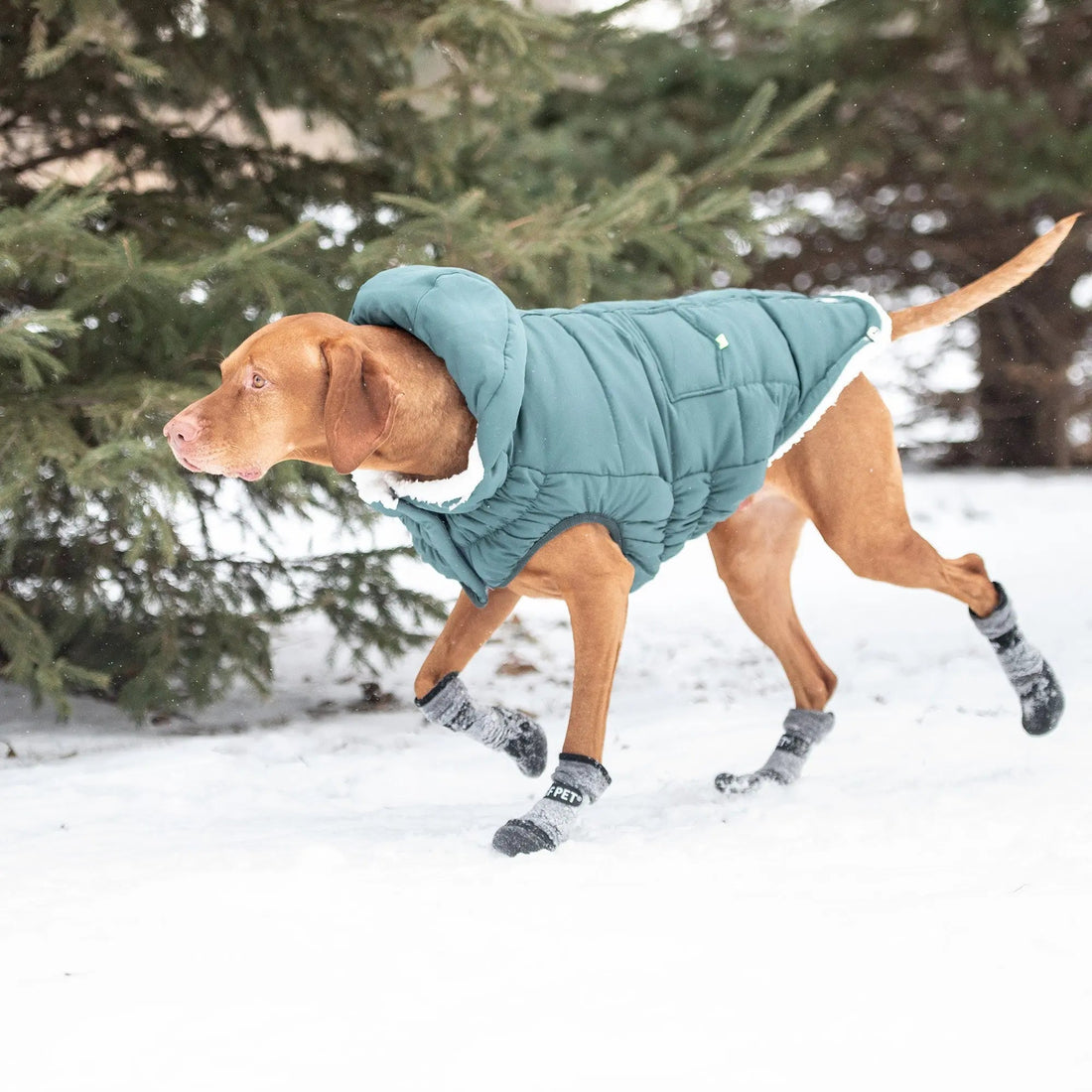 Super Puff Parka Dog Winter Jacket – The Dog Outdoors