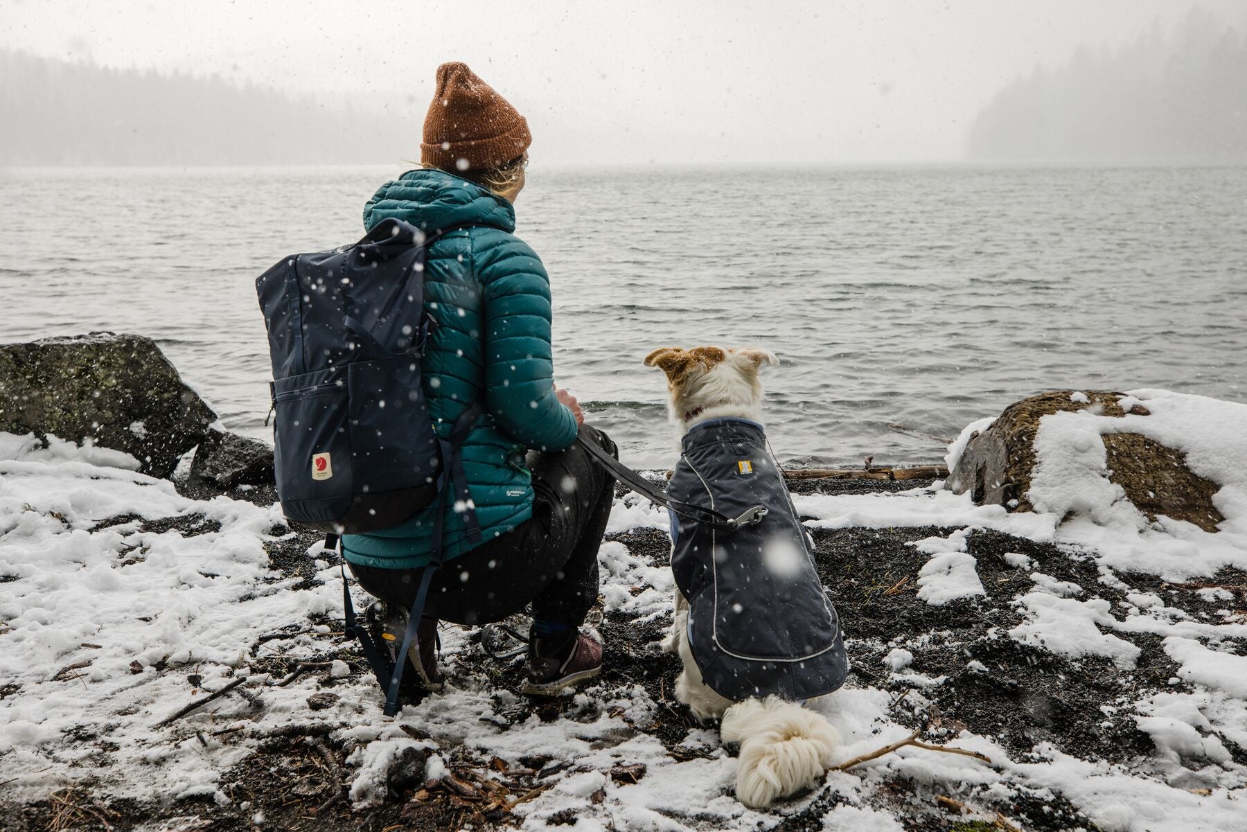 Overcoat Fuse Jacket Harness Combo The Dog Outdoors