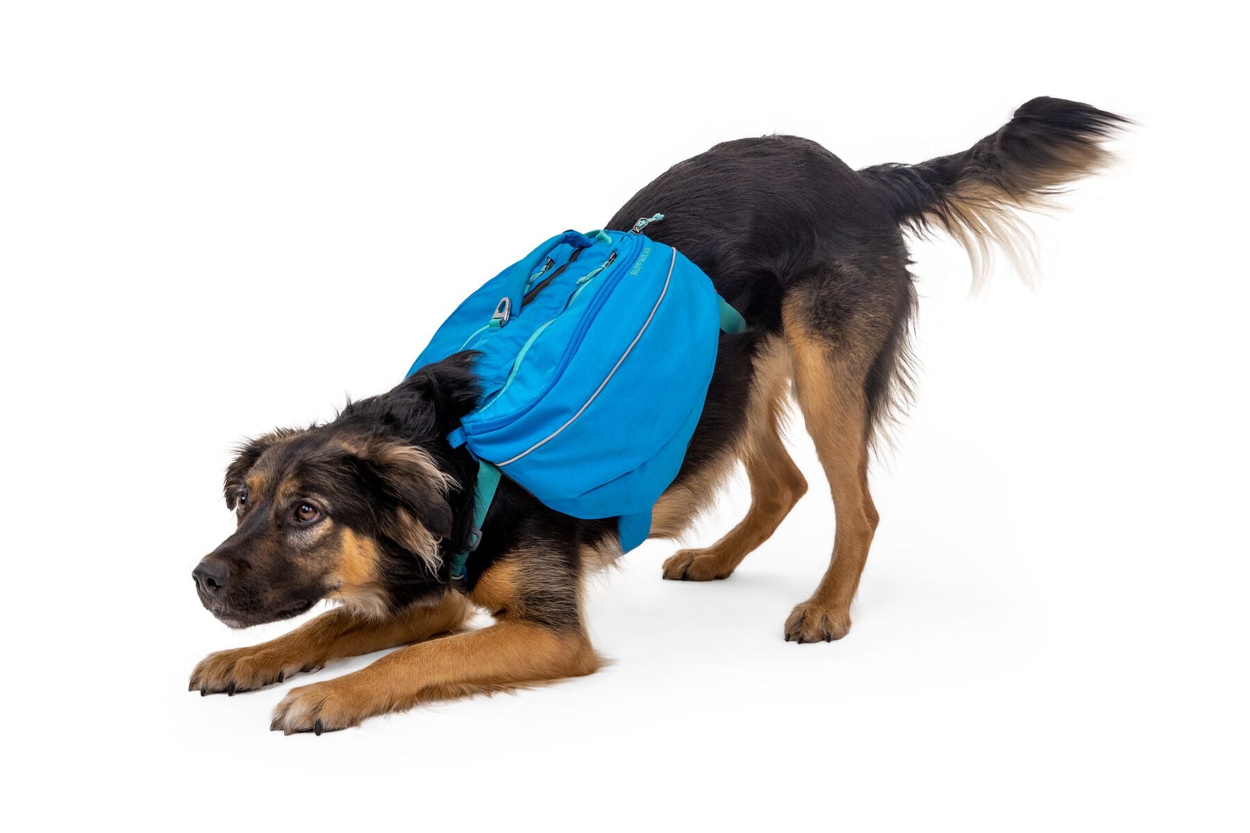 Ruffwear Approach Pack The Dog Outdoors