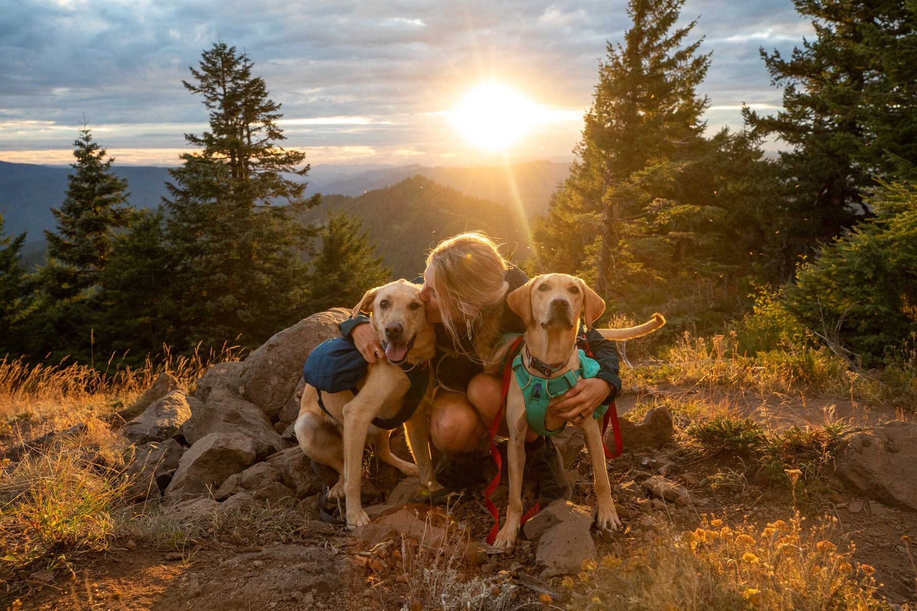 Ruffwear Front Range Day Pack The Dog Outdoors