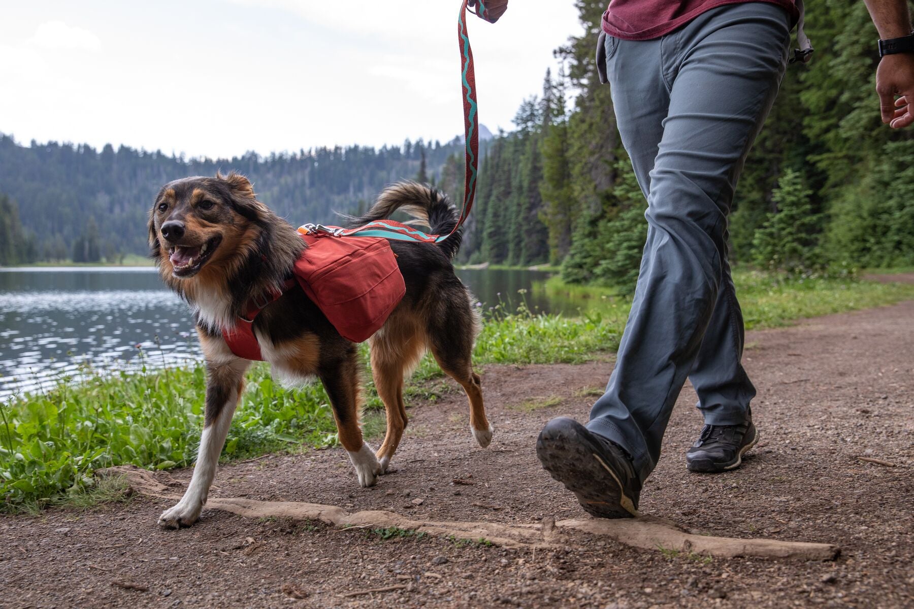 Ruffwear Front Range Day Pack The Dog Outdoors