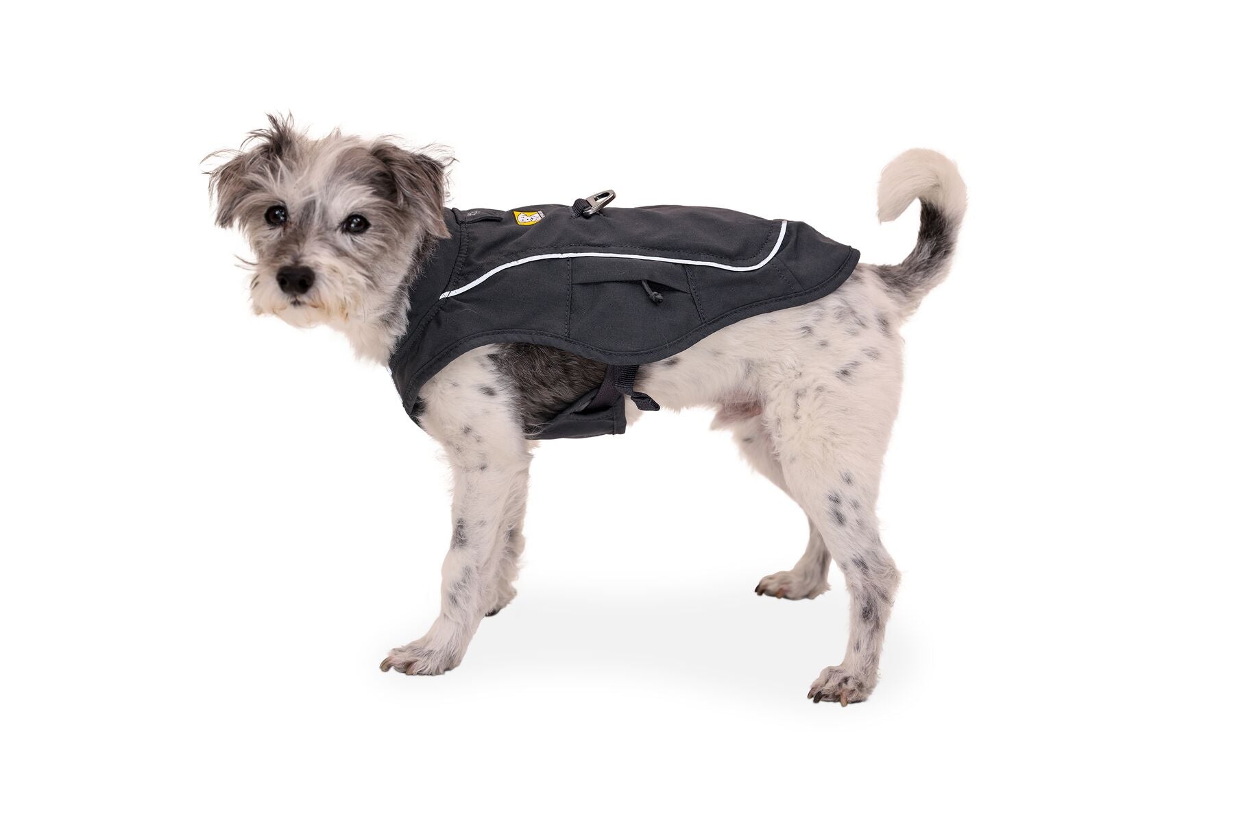 Dog harness hotsell and coat combined