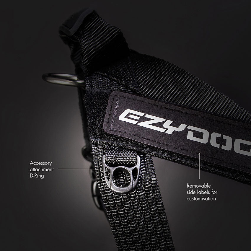 EzyDog Express Harness Customizable The Dog Outdoors