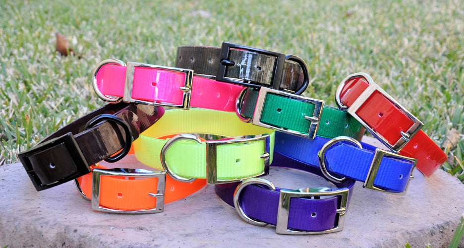 Personalized Waterproof Dog Collars With Stainless Steel Nameplate