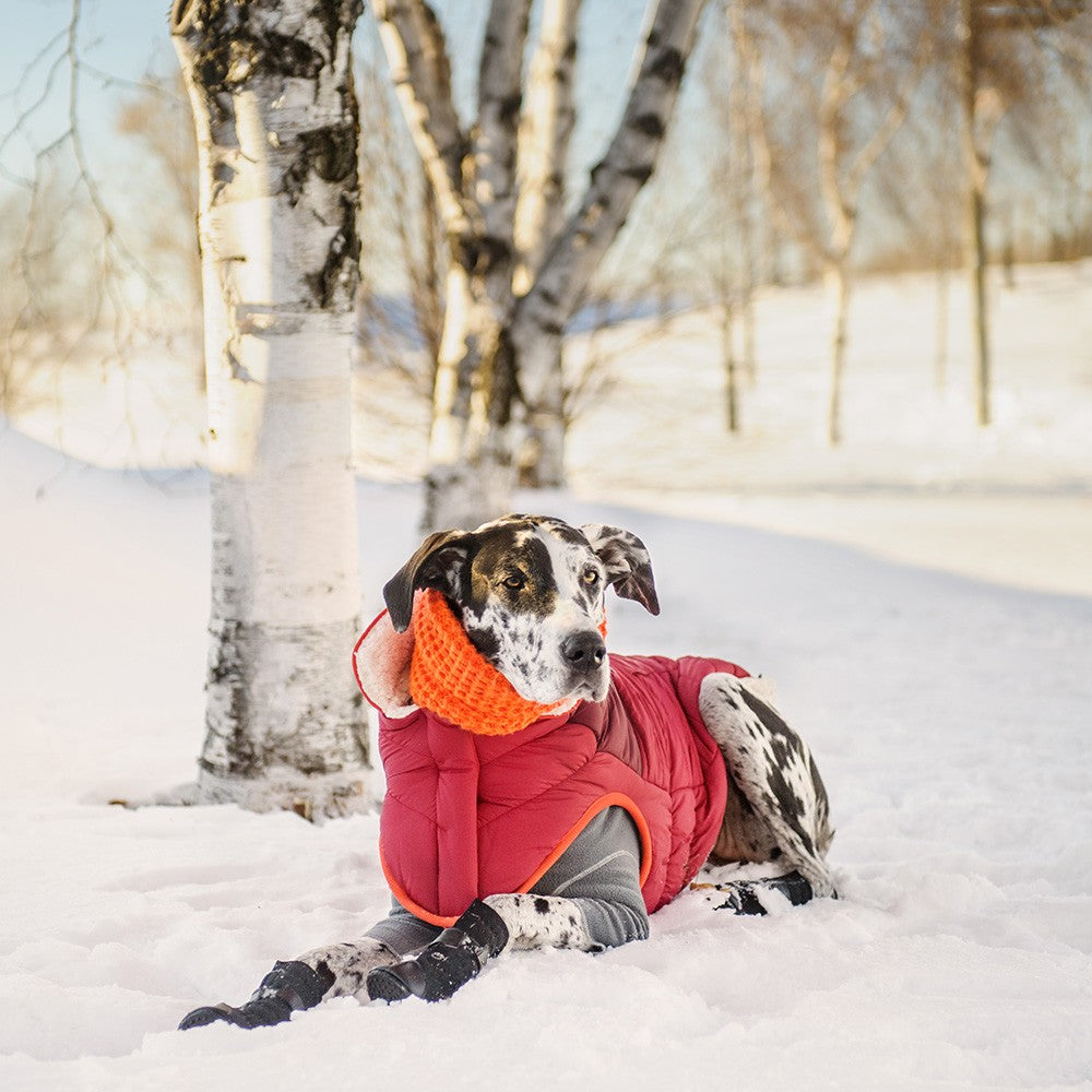 Scout Jacket - Sherpa Lined Waterproof Shell