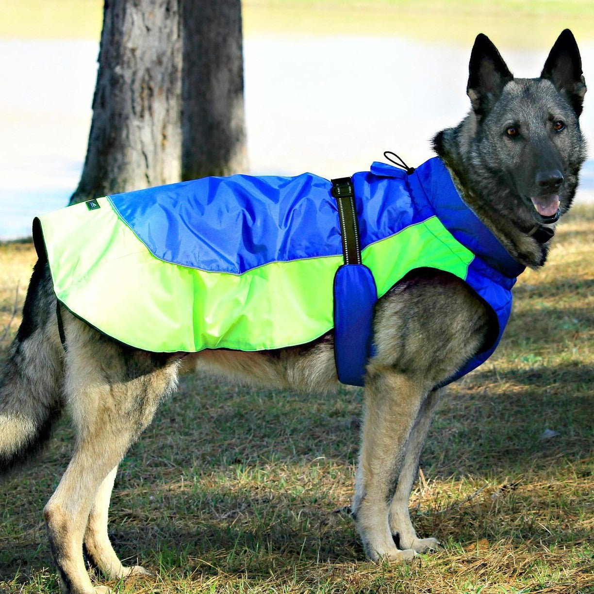 Alpine shop dog coats