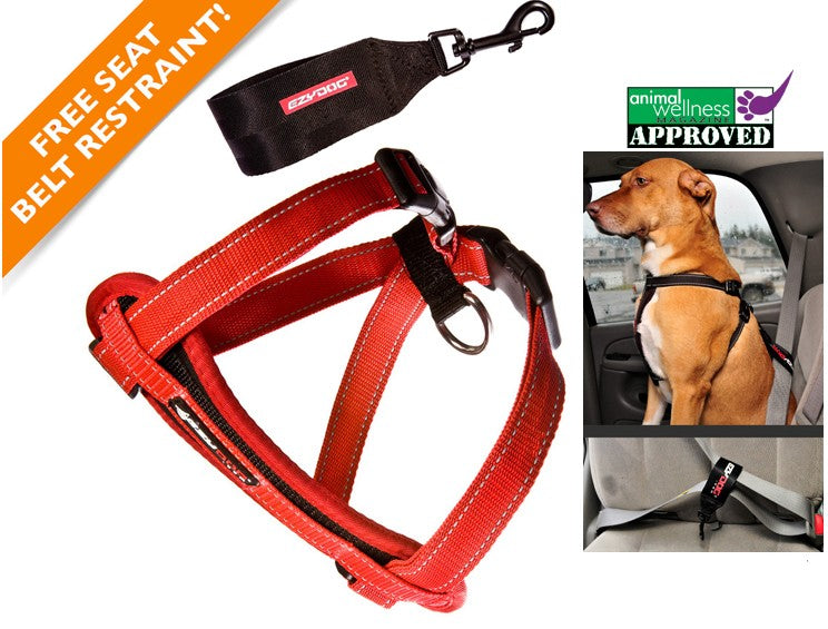 EzyDog Padded Chest Harness The Dog Outdoors